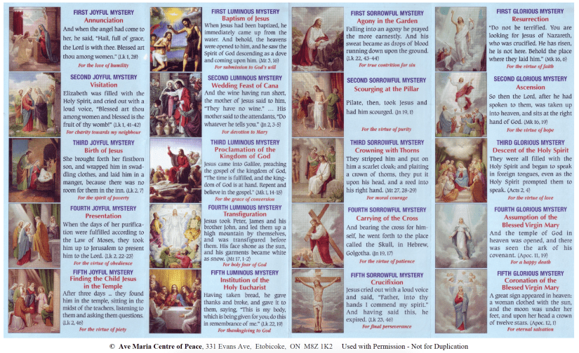 Screen Shot 2018-08-15 at 15.01.43